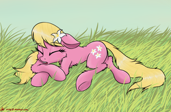 Size: 2000x1309 | Tagged: safe, artist:orang111, lily, lily valley, pony, g4, cute, eyes closed, female, grass, prone, sleeping, solo, yawn