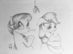 Size: 4032x3022 | Tagged: safe, artist:theasce, applejack, rarity, g4, blushing, female, heart, high res, holly, holly mistaken for mistletoe, lesbian, monochrome, ship:rarijack, shipping