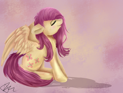 Size: 1024x768 | Tagged: safe, artist:bunnzee, fluttershy, pony, g4, chest fluff, eyes closed, female, sitting, solo, spread wings