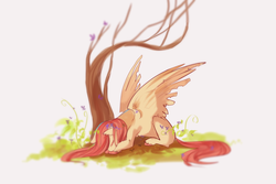Size: 3000x2000 | Tagged: safe, artist:prancingcrow, fluttershy, pegasus, pony, g4, eyes closed, female, flower, high res, lying down, mare, peaceful, prone, solo, spread wings, tree