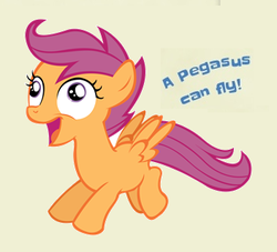 Size: 352x320 | Tagged: safe, edit, scootaloo, pegasus, pony, g4, tails of equestria, captain obvious, citation needed, derp, female, scootaderp, scootaloo can fly, scootaloo can't fly, simple background, solo, text
