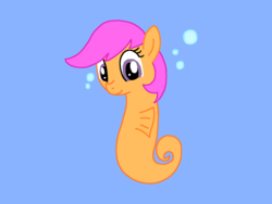 Size: 1600x1200 | Tagged: safe, artist:franzeir, oc, oc only, sea pony, bubble, solo, underwater