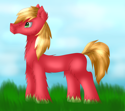 Size: 4656x4160 | Tagged: safe, artist:funny-arts, big macintosh, earth pony, pony, g4, absurd resolution, grass, male, missing accessory, sky, solo, stallion