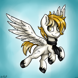Size: 3024x3024 | Tagged: safe, artist:gaelledragons, oc, oc only, oc:white feather, pegasus, pony, clothes, high res, male, scarf, solo, stallion