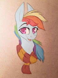 Size: 3024x4032 | Tagged: safe, artist:waterferret, part of a set, rainbow dash, pony, g4, clothes, crossover, female, gryffindor, harry potter (series), high res, scarf, solo, traditional art