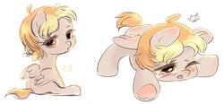 Size: 600x278 | Tagged: safe, artist:catmag, oc, oc only, oc:cute rise, pegasus, pony, chibi, solo