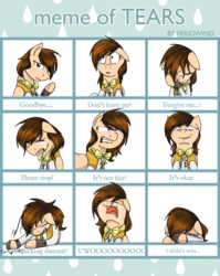Size: 1024x1284 | Tagged: safe, artist:stuflox, oc, oc only, oc:drawingamer, pegasus, pony, bowtie, clothes, crying, deviantart meme, expressions, female, mare, meme, meme of tears, solo