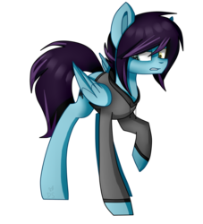Size: 1024x1126 | Tagged: safe, artist:despotshy, oc, oc only, oc:despot, pegasus, pony, clothes, hoodie, male, simple background, solo, transparent background