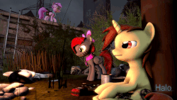Size: 800x450 | Tagged: safe, artist:php39, oc, oc only, oc:bwae, oc:halo whooves, oc:scribble, oc:zackcake, earth pony, pegasus, pony, unicorn, 3d, animated, campfire, gif, outdoors, source filmmaker