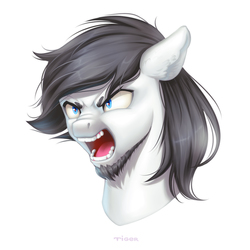 Size: 1000x1000 | Tagged: safe, artist:purpletigra, oc, oc only, oc:marshmallow fluffbutt, pony, angry, beard, facial hair, male, rage, solo, stallion