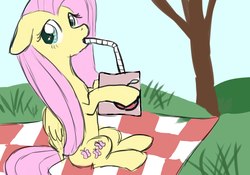 Size: 2560x1792 | Tagged: artist needed, safe, fluttershy, pegasus, pony, my little brony risovach, g4, drinking, drinking straw, floppy ears, flutterjuice, juice, picnic blanket, solo