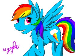 Size: 1024x768 | Tagged: safe, artist:yogfan, rainbow dash, pony, g4, female, simple background, solo, white background