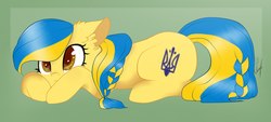 Size: 2560x1157 | Tagged: safe, artist:lovely-pony, oc, oc:ukraine, pony, my little brony risovach, cute, nation ponies, ponified, prone, solo, ukraine