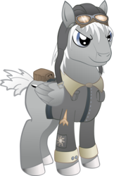Size: 1368x2112 | Tagged: safe, artist:deyrasd, oc, oc only, oc:dornier flieger, pegasus, pony, aviator goggles, clothes, male, simple background, solo, stallion, transparent background