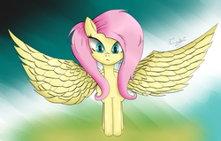 Size: 2200x1400 | Tagged: safe, artist:unbronydc, fluttershy, g4, female, solo, spread wings