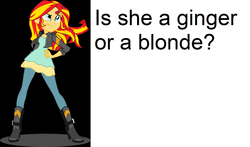 Size: 1532x900 | Tagged: safe, sunset shimmer, equestria girls, g4, caption, female, hair, solo, stupid question, text