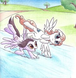 Size: 1024x1054 | Tagged: safe, artist:islamilenaria, oc, oc only, pegasus, pony, female, flying, mare, river, sisters, traditional art