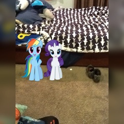 Size: 1024x1024 | Tagged: safe, artist:jawsandgumballfan24, rainbow dash, rarity, pony, shark, g4, bed, bedroom, irl, photo, ponies in real life