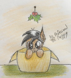 Size: 2064x2279 | Tagged: safe, artist:professionalpuppy, oc, oc only, oc:cocoa mocha, pony, box, cardboard box, christmas, cute, holly, holly mistaken for mistletoe, looking at you, pony in a box, solo, traditional art