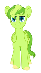 Size: 856x1500 | Tagged: safe, artist:kate littlewing, oc, oc only, oc:lime zest, pegasus, pony, 2017 community collab, derpibooru community collaboration, looking at you, male, simple background, smiling, solo, transparent background