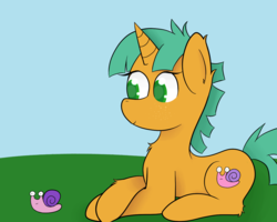 Size: 1279x1024 | Tagged: safe, artist:zlight, snails, pony, g4, male, pet, prone, solo