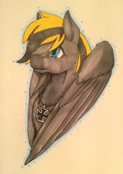 Size: 1024x1445 | Tagged: safe, artist:oneiria-fylakas, oc, oc only, pegasus, pony, blue eyes, hair over one eye, iron cross, looking up, male, solo, stallion, traditional art