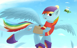 Size: 2560x1600 | Tagged: safe, artist:ssnerdy, rainbow dash, tank, pony, g4, clothes, flying, hat, scarf