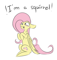 Size: 3543x3747 | Tagged: safe, artist:ratann, fluttershy, pony, squirrel, g4, blatant lies, blushing, female, high res, silly, silly pony, simple background, solo, white background