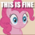 Size: 315x318 | Tagged: safe, artist:forgalorga, edit, edited screencap, screencap, pinkie pie, earth pony, pony, your little pets, g4, caption, female, image macro, meme, solo, this is fine, thousand yard stare