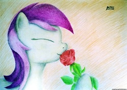 Size: 2789x2000 | Tagged: safe, artist:ponystarpony, roseluck, pony, g4, female, flower, high res, rose, solo, traditional art