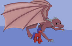 Size: 1024x659 | Tagged: safe, oc, oc only, oc:dragon, oc:fidelity, dragon, earth pony, pony, reference