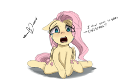 Size: 1800x1200 | Tagged: safe, artist:miokomata, fluttershy, pony, g4, both cutie marks, crying, dialogue, dilemma, female, floppy ears, looking at you, open mouth, sad, solo