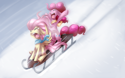 Size: 4800x3000 | Tagged: safe, artist:scarlet-spectrum, fluttershy, pinkie pie, absurd resolution, cheering, clothes, crying, duo, eyes closed, fun, open mouth, raised hoof, scarf, screaming, sled, sledding, snow, varying degrees of amusement, wheeeee