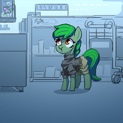 Size: 3000x3000 | Tagged: dead source, safe, artist:ivyredmond, oc, oc only, oc:lonely day, earth pony, pony, fanfic:the last pony on earth, ponies after people, clothes, female, grumpy, high res, hooves, mare, solo, supermarket