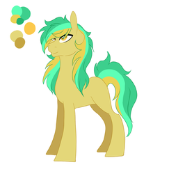 Size: 2914x3000 | Tagged: safe, artist:kittii-kat, oc, oc only, oc:goldrush, earth pony, pony, high res, male, reference sheet, simple background, solo, stallion, white background