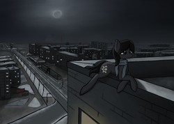 Size: 3800x2700 | Tagged: safe, artist:sinniepony, oc, oc only, oc:sinnie, pony, black mane, blue eyes, city, clothes, darkness, high res, moonlight, night, rooftop, russian, scarf, snow, solo, stalliongrad, winter