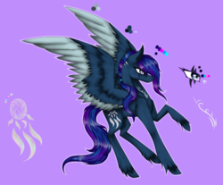 Size: 668x553 | Tagged: safe, artist:squeilaforest, oc, oc only, oc:squeila, pony, reference sheet, simple background, solo