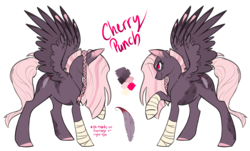 Size: 6123x3700 | Tagged: safe, artist:raponee, oc, oc only, oc:cherry punch, pony, absurd resolution, braid, reference sheet, solo