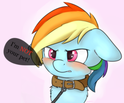 Size: 1200x1000 | Tagged: safe, artist:dbleki, rainbow dash, dog, pony, angry, blatant lies, blushing, bust, chest fluff, collar, cute, dashabetes, dialogue, female, floppy ears, fluffy, fluffyball, leash, lies, pet, pet-dash, pink background, pony pet, simple background, solo, tsunderainbow, tsundere