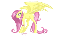 Size: 1024x695 | Tagged: safe, artist:pszemkotov, fluttershy, pony, g4, female, looking away, looking up, missing cutie mark, simple background, solo, spread wings, standing, tall, white background