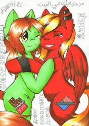 Size: 2300x3276 | Tagged: safe, artist:nana-yuka, oc, oc only, earth pony, pegasus, pony, arabic, bipedal, crying, duo, female, high res, hug, japanese, mare, russian, simple background, tears of joy, traditional art