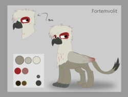 Size: 3335x2521 | Tagged: safe, artist:flicktransition, oc, oc only, oc:fortemvolit, big cat, bird, cat, griffon, lion, high res, reference sheet, solo