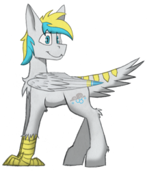 Size: 3333x3869 | Tagged: safe, artist:php122, oc, oc only, oc:cirrus sky, hippogriff, 2017 community collab, derpibooru community collaboration, high res, simple background, solo, transparent background