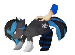 Size: 2530x1868 | Tagged: safe, artist:oddends, oc, oc only, alicorn, pony, behaving like a cat, clothes, hand, pet, petting, socks, solo, striped socks