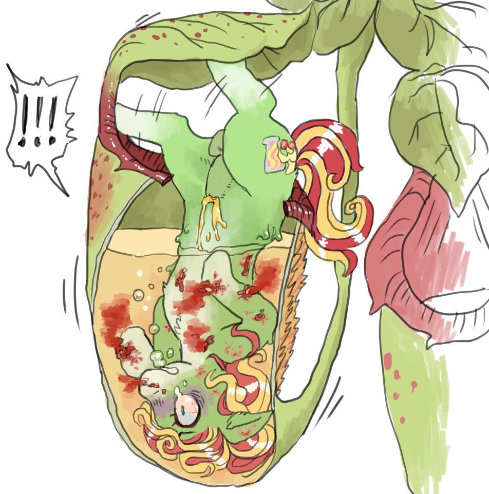 pitcher plant vore