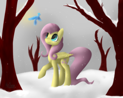 Size: 1280x1024 | Tagged: safe, artist:keisaa, fluttershy, bird, g4, female, looking at something, looking up, raised hoof, snow, snowfall, solo, winter