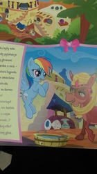 Size: 897x1600 | Tagged: safe, rainbow dash, donkey, g4, official, donkeyville, polish