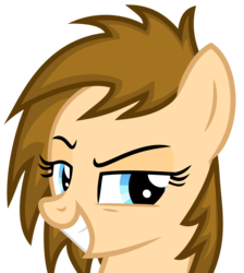 Size: 4004x4462 | Tagged: safe, artist:itspeahead, oc, oc only, oc:stellar winds, pony, g4, absurd resolution, bust, portrait, raised eyebrow, show accurate, simple background, smiling, solo, transparent background, vector