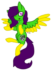 Size: 1024x1410 | Tagged: safe, artist:anxiouslilnerd, oc, oc only, oc:camoflage cat, pegasus, pony, simple background, solo, transparent background