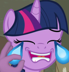 Size: 779x806 | Tagged: safe, edit, edited screencap, screencap, twilight sparkle, pony, g4, bust, crying, emoji, eyes closed, female, laughing, mare, open mouth, reaction image, smiling, solo, suddenly hands, tears of laughter, teary eyes, wat, 👌, 😂